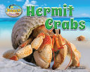 Hermit Crabs cover