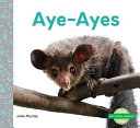 Aye-Ayes (English) cover