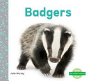 Badgers cover