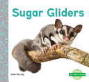 Sugar Gliders cover