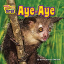 Aye-Aye cover