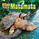 Matamata cover