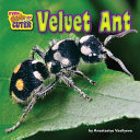 Velvet Ant cover