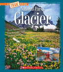 Glacier cover