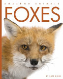 Foxes cover