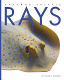 Rays cover
