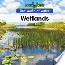 Wetlands cover