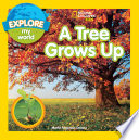 A Tree Grows Up cover