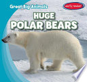 Huge Polar Bears cover