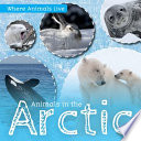Animals in the Arctic cover