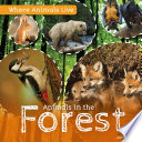 Animals in the Forest cover