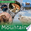 Animals in the Mountains cover