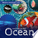 Animals in the Ocean cover