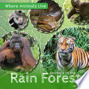 Animals in the Rain Forest cover