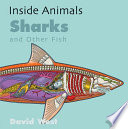 Sharks and Other Fish cover