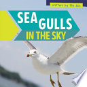 Sea Gulls in the Sky cover