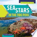 Sea Stars in the Tide Pool cover