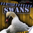 Nasty Swans cover