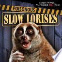 Poisonous Slow Lorises cover