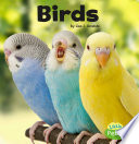 Birds cover