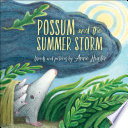 Possum and the Summer Storm cover