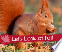 Let's Look at Fall cover