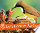 Let's Look at Spring cover