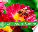 Let's Look at Summer cover