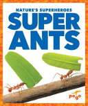 Super Ants cover