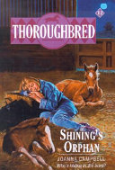 Shining's Orphan cover