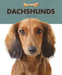 Dachshunds cover