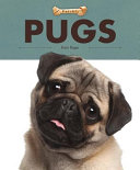 Pugs cover