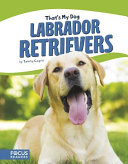 Labrador Retrievers cover