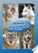 Wolves and Coyotes cover
