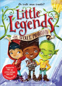 The Secret Mountain cover
