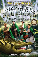 The Dragon's Eye cover