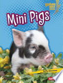 Mini Pigs cover