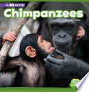 Chimpanzees cover