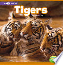 Tigers cover
