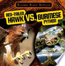 Red-Tailed Hawk vs. Burmese Python cover