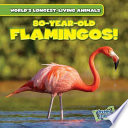 80-Year-Old Flamingos! cover