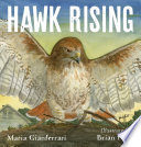 Hawk Rising cover