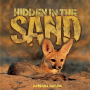 Hidden in the Sand cover