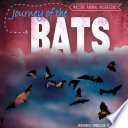 Journey of the Bats cover