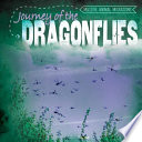Journey of the Dragonflies cover