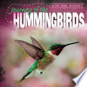 Journey of the Hummingbirds cover