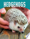Hedgehogs cover