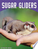 Sugar Gliders cover