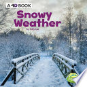 Snowy Weather cover