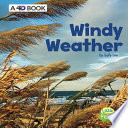 Windy Weather cover
